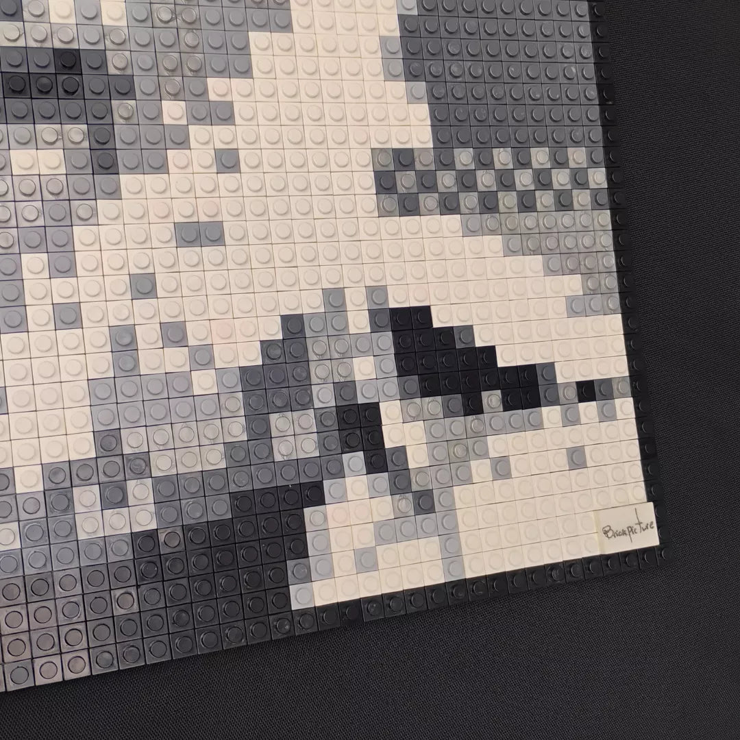 Retrato Pixel Art El Macha - 2500 piezas Tipo LEGO® | Arte Pop 40x40 cm